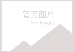 偃师彩虹能源有限公司